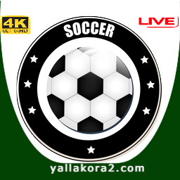 آخر أخبار عن الدوري المصري الممتاز اليوم: news Egypt Premier League Yalla Kora Shoot